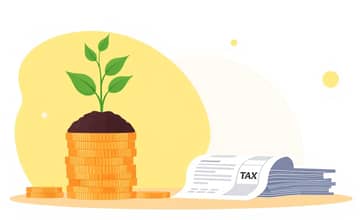 Optimización Fiscal: Impacto en Tus Ganancias Netas