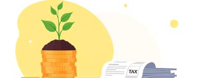 Optimización Fiscal: Impacto en Tus Ganancias Netas