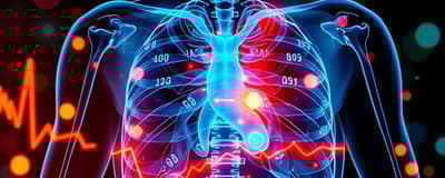 Radiografía de tus Finanzas: Entendiendo cada Latido