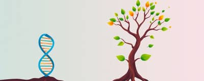 El ADN del Beneficio: Genes de Crecimiento