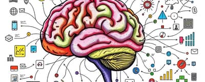 El Cerebro del Mercado: Analizando la Toma de Decisiones