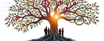 La Disciplina del Crecimiento: Hábitos para un Portafolio Saludable