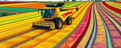 Tu Mapa de Rendimiento: Dónde Estás y Hacia Dónde Vas