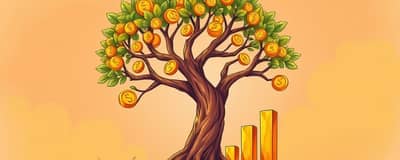 Descifrando el Código de la Rentabilidad